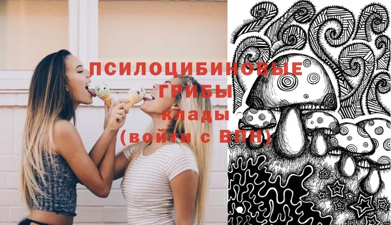 Псилоцибиновые грибы Psilocybine cubensis  Вольск 