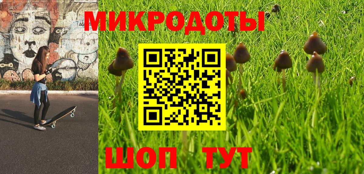 Псилоцибиновые грибы прущие грибы  Вольск 
