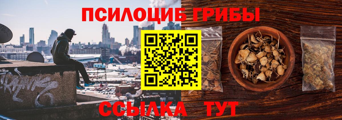 Галлюциногенные грибы прущие грибы  Вход с VPN  Вольск 